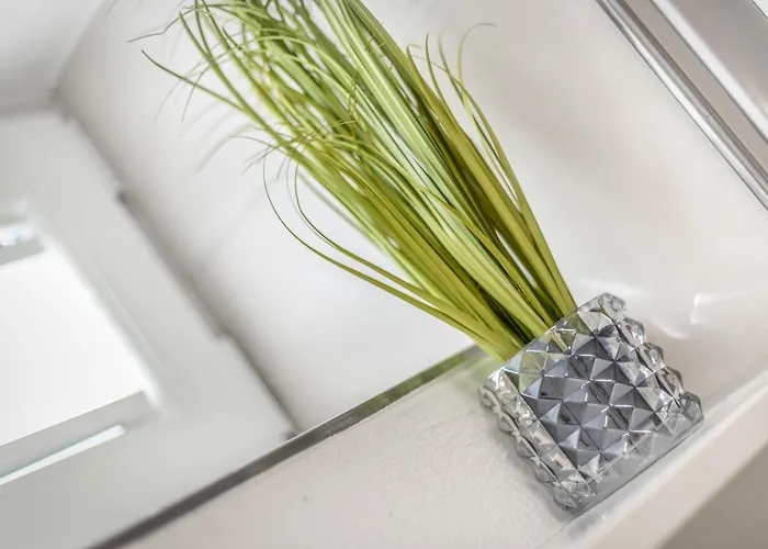 Appartement Ringelgans